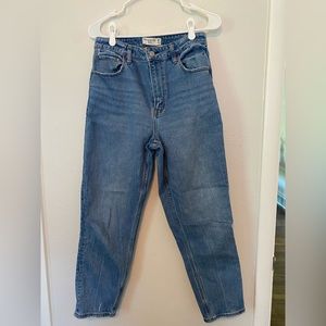 Abercrombie & Fitch Curve Love Mom High Rise Size 29 Denim